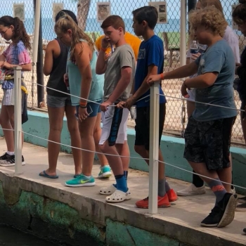 splash into science annual trip to the Florida Keys